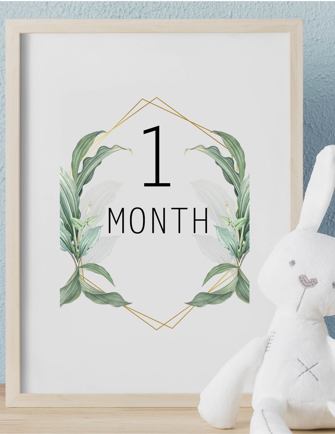 Baby Milestone Cards |DIY Digital Download Monthly Milestone Photo ...