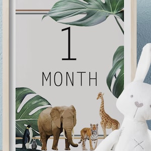 Cartes d'étape de bébé | Téléchargement numérique bricolage | Accessoires photo jalons mensuels | Conception de feuilles d'animaux de zoo | 12 Cartes mensuelles Cartes mémoire unisexes