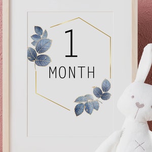 Baby Milestone Cards |DIY Digital Download Monthly Milestone Boho Photo Props | Elegant Blue and Gold boho leaves design | 12 monthly Cards