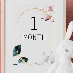 Cartes d'étape de bébé | Téléchargement numérique bricolage Accessoires de photo d'étape mensuelle | Feuilles roses et vertes élégantes | Cadeau Baby Showever |