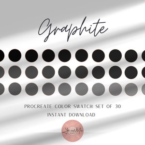 Graphite Color Procreate Palette, Color Swatches, Color Palette, iPad Procreate, Branding Colors, Brand Color Hex Codes, Brand Color Kit