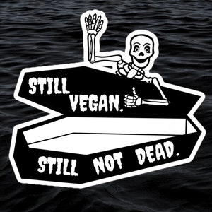 Autocollant toujours végétalien toujours pas mort, autocollant végétalien, Vegan Goth, autocollant punk, autocollant squelette, autocollant végétarien, autocollants impertinents, Vegan AF