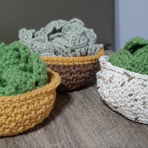 crochet succulent coasters