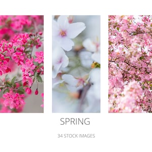 Spring Stock Photos