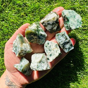 Raw Tree Agate, 1 Medium Raw Tree Agate Crystal Specimen