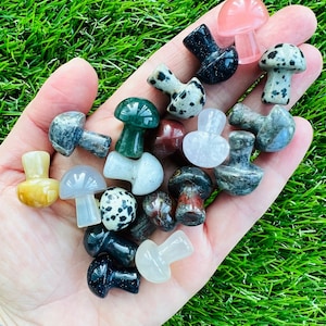ONE Crystal Mushroom, Small Genuine Polished Crystal Mushrooms