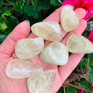 Tumbled Citrine, 1 Polished Genuine Tumbled Citrine Crystal