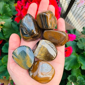 Tiger Eye, 1 Polished Genuine Tumbled Tiger Eye Crystal
