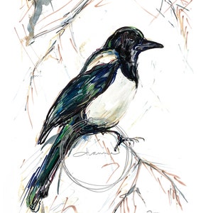 Magpie Resting on Branch using Oil & Chalk Pastel on Canvas