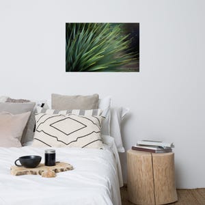 Fine Art Print