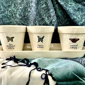 Rae Dun Butterfly Planter Trio with Tray