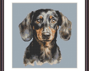 Schema punto croce bassotto piccolo - Scarica - Schema punto croce cane