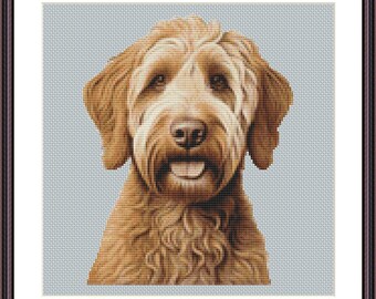 May include: A brown and white doodle dog with a happy expression, looking directly at the camera.
