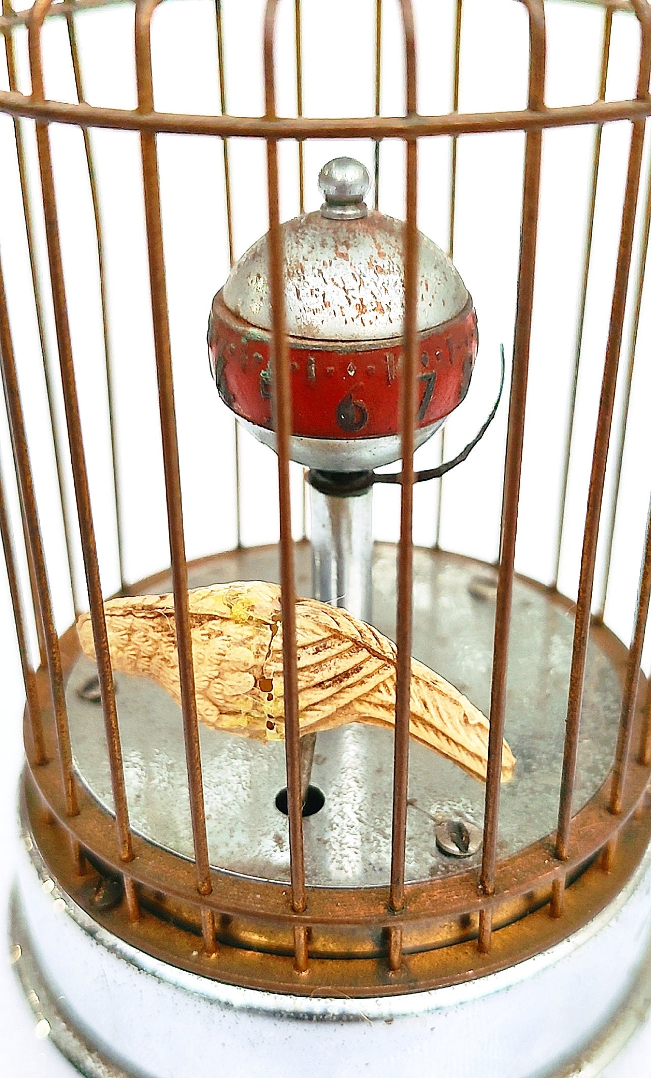 Bird Cage Clock Etsy