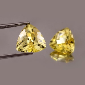 AAA 8x8 MM Top Quality Ceylon Yellow Sapphire Loose Trillion Cut Pair Gemstone,Excellent Prime Quality Gemstone For All Kind Of Jewellery