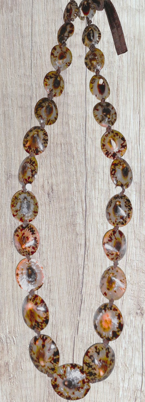 Hawaiian Tiger Cowrie Shell Necklace