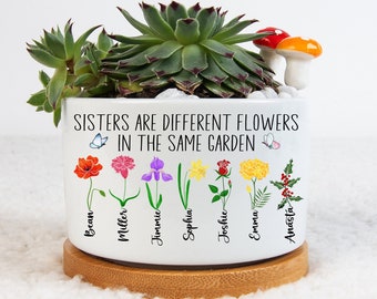 Birth Flower Sisters Plant Pot, Sisters Are Different Flowers From the Same Garden Mini Planter, Month Flower Pot, Sister Gifts For Birthday
