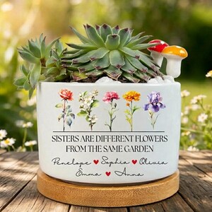 Birth Flower Sisters Plant Pot, Sisters Are Different Flowers From the Same Garden Mini Planter, Birth Month Flower Pot, Sisters Day Gift
