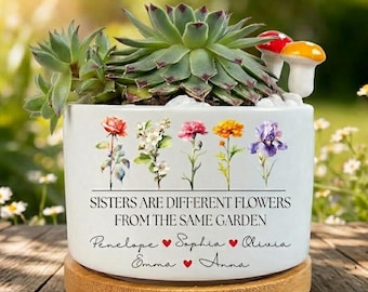 Birth Flower Sisters Plant Pot, Sisters Are Different Flowers From the Same Garden Mini Planter, Birth Month Flower Pot, Sisters Day Gift