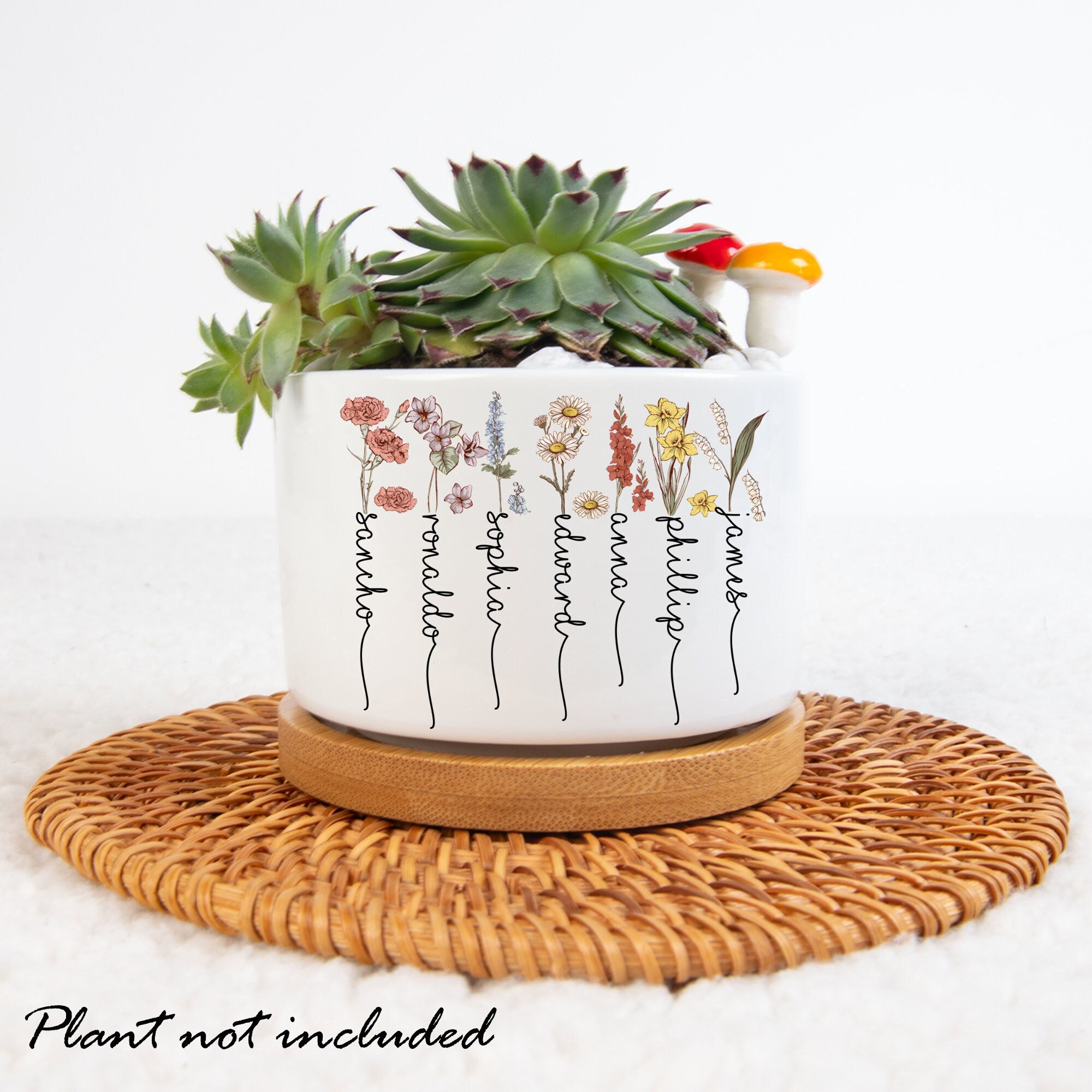 Mom Gifts “Best Mom Ever” (Small Plant/Flower Pots, Ceramic Pots)