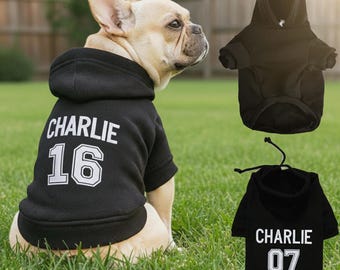Personalized Dog Hoodie, Embroidered Pet Name, Bright Puppy Sweatshirt, Custom Dog Apparel,Gift for Dog lovers