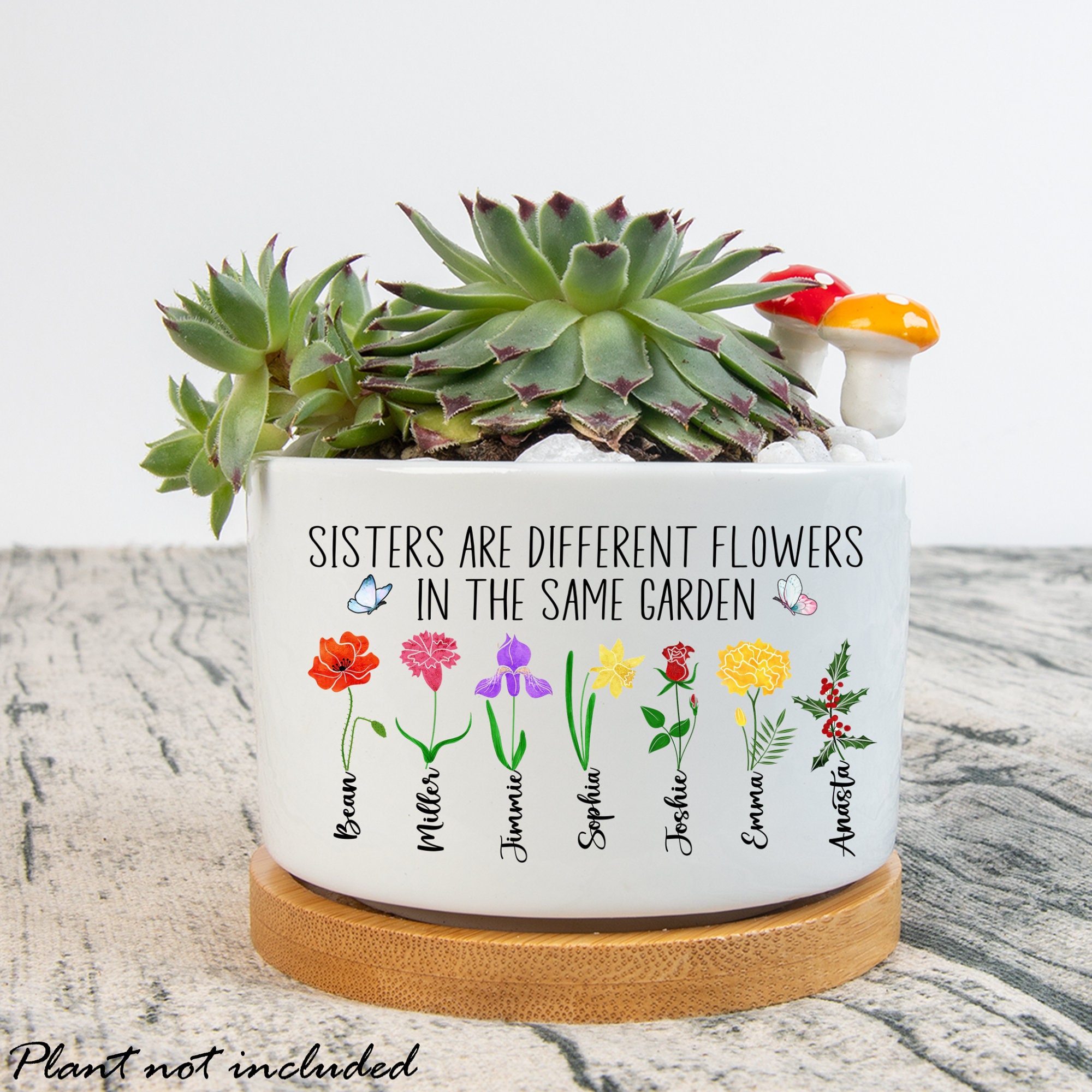 Birth Flower Sisters Plant Pot, Sisters Are Different
