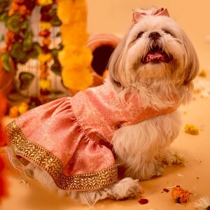 Dog dress sale online india