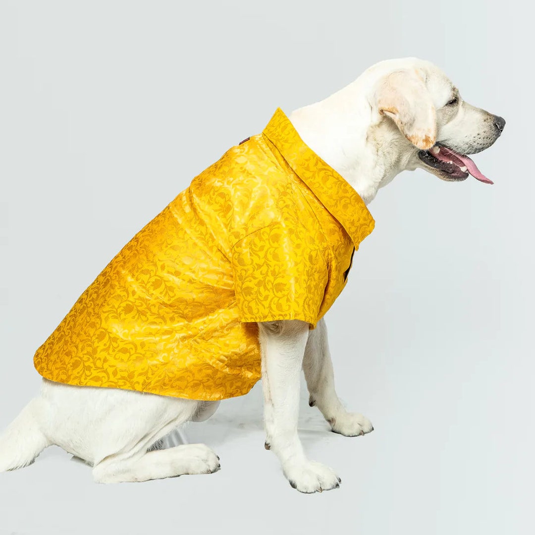 Sherwani for Dog & Cat Indian Dog Outfit Desi Dog Outfit - Etsy