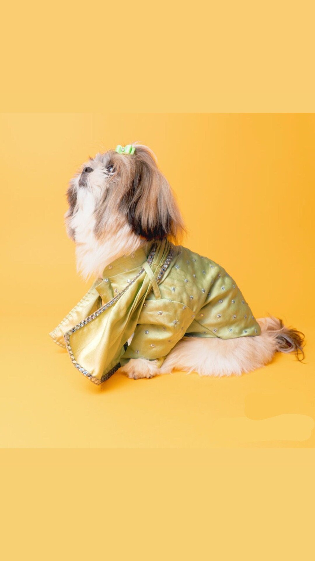 Royal Green Sherwani for Dog & Cat With Dupatta Indian Dog Outfit Desi