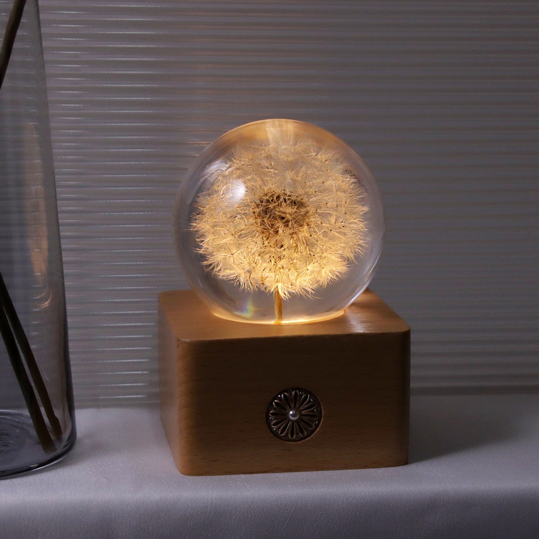Dandelion Resin Night Lamp Touch Control Night Light Real Etsy