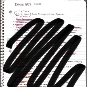 Notas de embriología, histología y anatomía dental CH 12-14