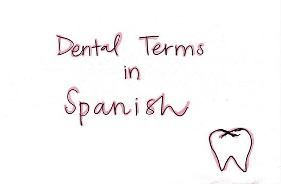 Spanish Dental Terms Etsy