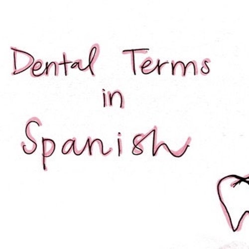 Spanish Dental Terms Etsy
