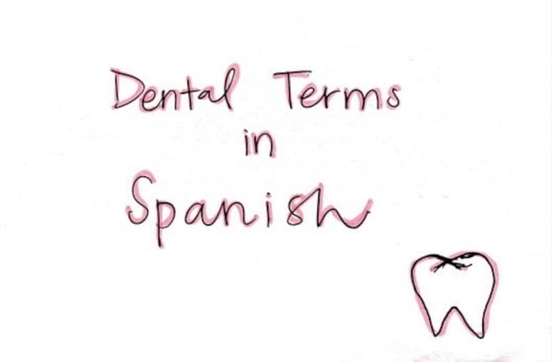 Spanish Dental Terms Etsy