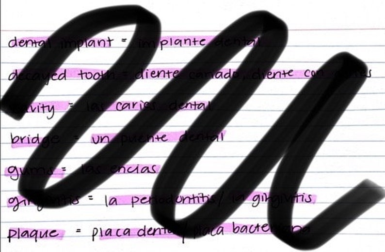 Spanish Dental Terms Etsy