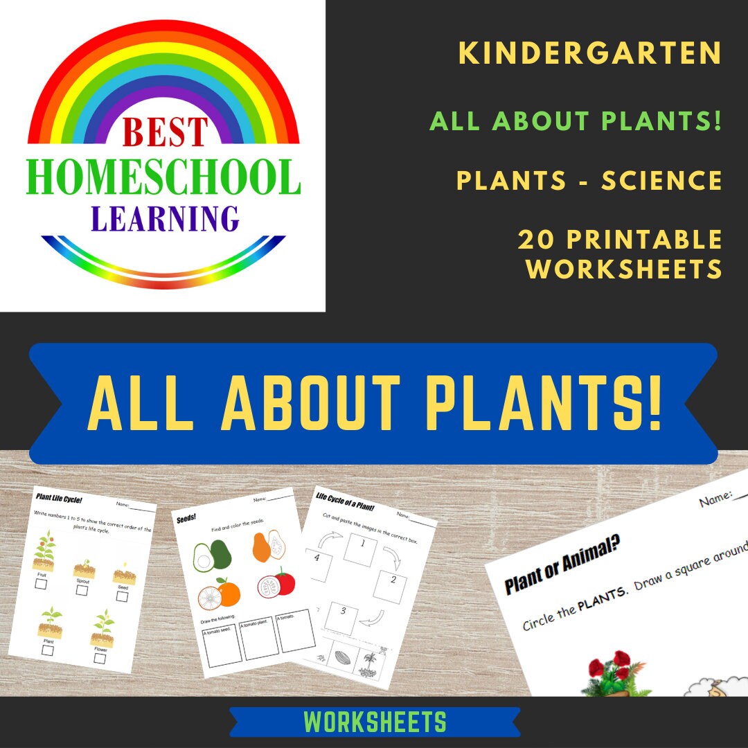 all about plants printable science exercises 20 etsy