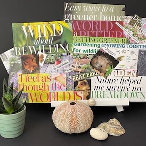 Vision Board NATURE - Plus de 200 images, phrases et mots thématiques et imprimables, pour tous ceux qui aiment le vision board.
