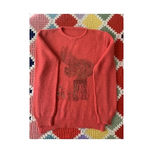 Può includere: Un maglione color corallo con scollo tondo e maniche lunghe. Il maglione presenta un motivo grafico marrone scuro sul davanti. Il maglione è esposto su una coperta colorata a fantasia.