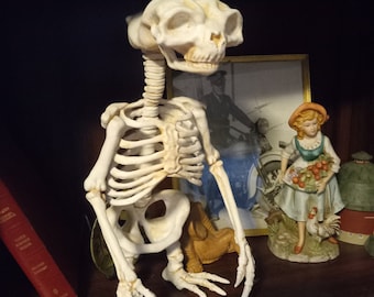 ET Skeleton, Alien UFO-Filmrequisite Figur