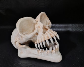 Gremlins Skull Life Size - Etsy