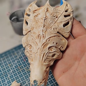 Queen Alien Skull Display
