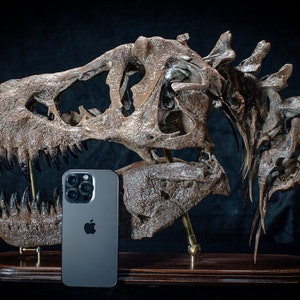 Tyrannosaurus rex skull replica sculpture on wooden baseplate Big high quality handmade collector piece image 3