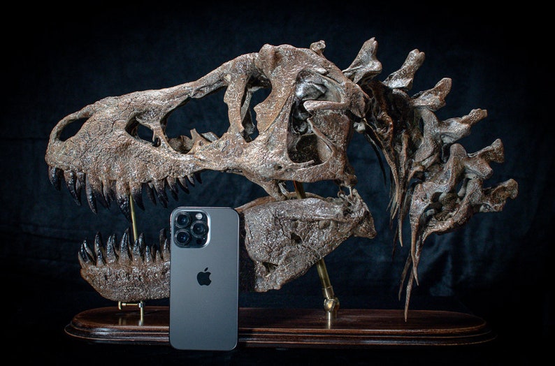 Tyrannosaurus rex skull replica sculpture on wooden baseplate Big high quality handmade collector piece image 3