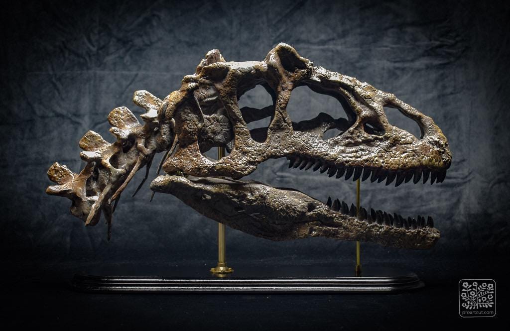 アロサウルス恐竜の頭蓋骨レプリカ｜博物館級の化石レプリカ、木製台座