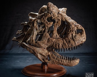 Carnotaurus Dinosaur Skull Replica: Handcrafted Museum Quality Fossil on Hardwood Base