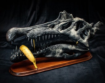 Big Spinosaurus aegyptiacus 1915 skull replica sculpture with wooden base and brass in museum quality - 560mm long black