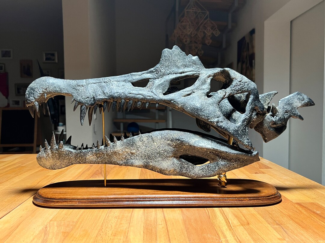 Figurine CollectA Spinosaurus Nageur Deluxe – Mâchoire Mobile, Réaliste