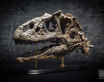 現在、この商品の在庫はありません - Etsy