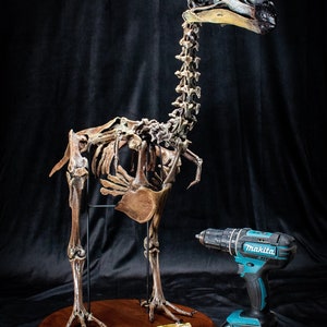 Dodo Bird skeleton scientifically accurate sculpture museum quality life size Big image 1