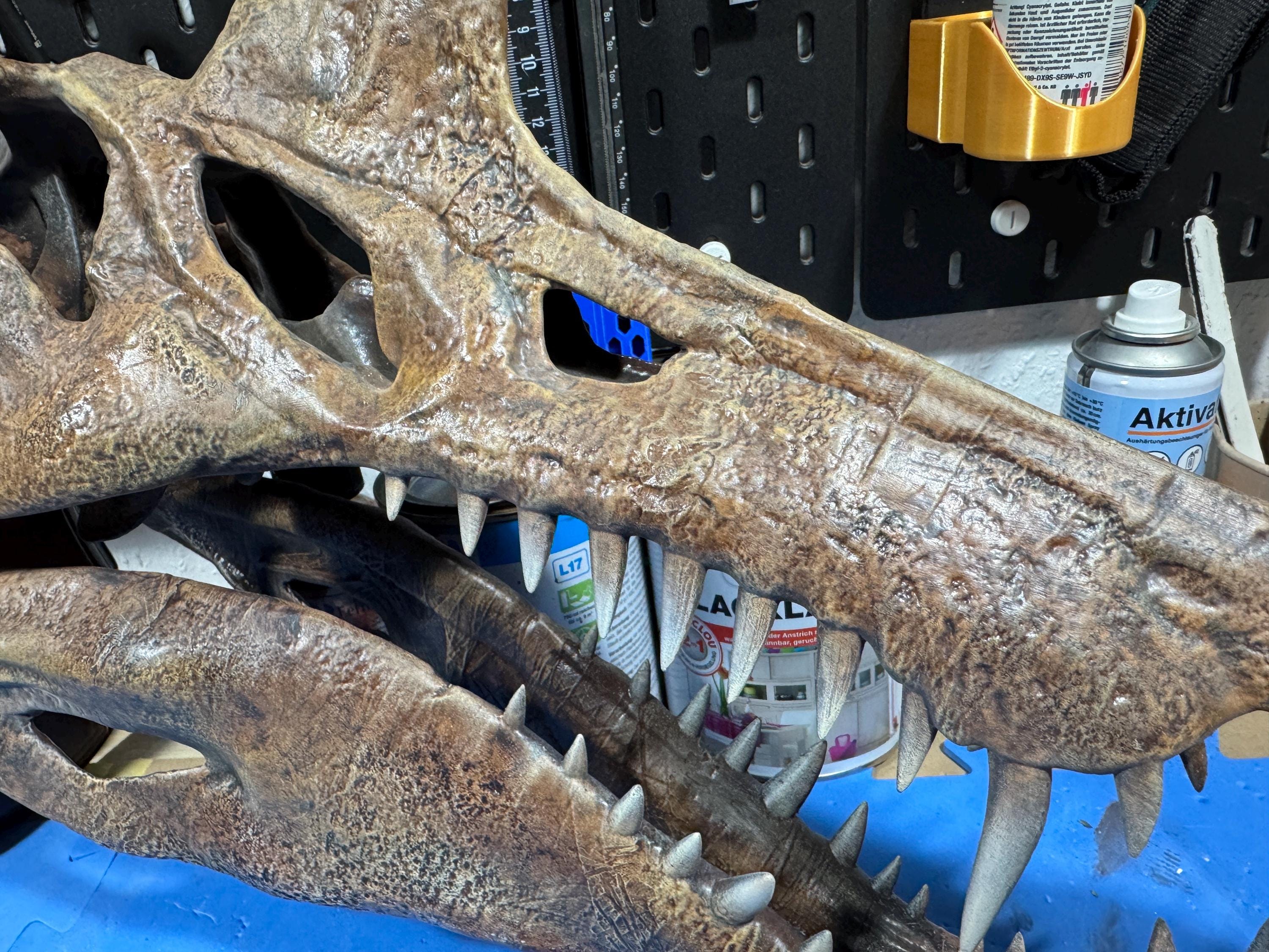 Wallmounted Spinosaurus Aegyptiacus 1915 Skull Replica Wallmounted Spinosaurus Aegyptiacus 1915 Skull Replica